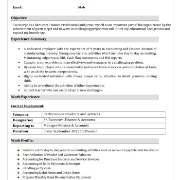 13010-Senior Accountant