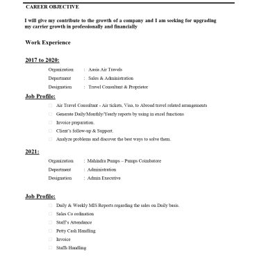 12960-Sales Executive