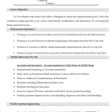 13305-Senior Accountant