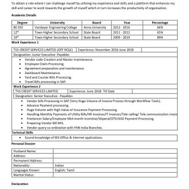 13487-Senior Executive