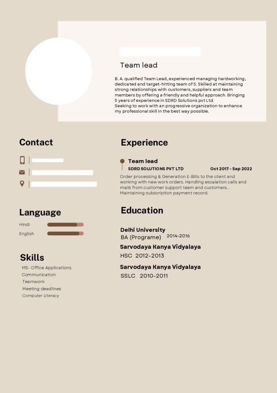 17382-Customer Support Executive