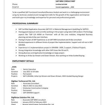 17207-Senior Executive/SAP Consultant
