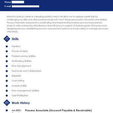 13407-Process associate