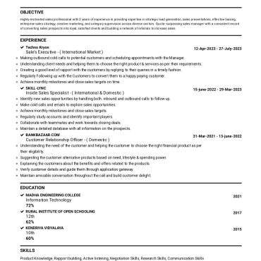 13966-Sales Executive