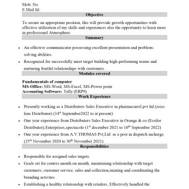 17279-Sales Executive