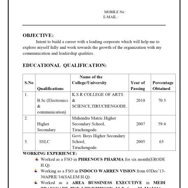13906-Sales Executive