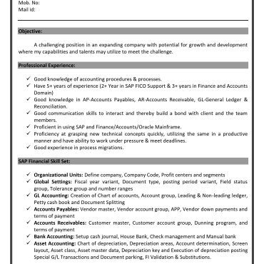 15093-Senior Accountant