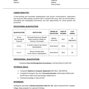 17333-Senior Accountant