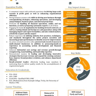 17103-Business Development Executive