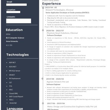 17107-Software Developer
