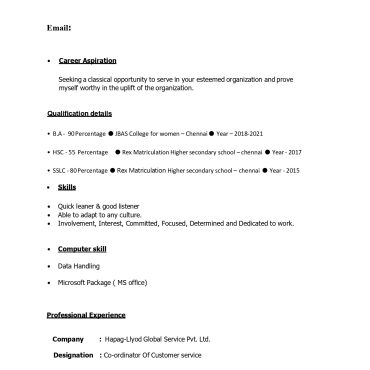 17198-Customer Support Executive