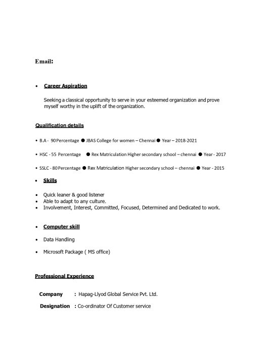 17198-Customer Support Executive