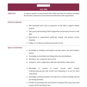 17029-SAP ABAP Consultant
