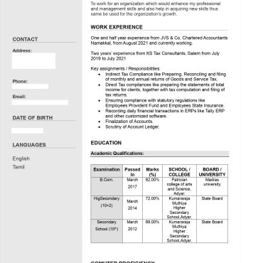 17325-Senior Accountant
