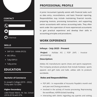17322-Junior Accountant