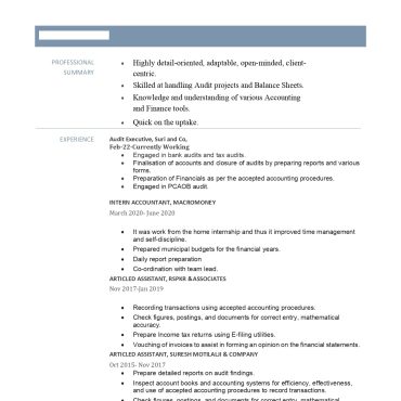 13763-Audit Co-ordinator