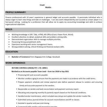 13610-Senior Executive