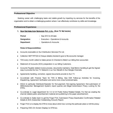 13493-Operations Executive