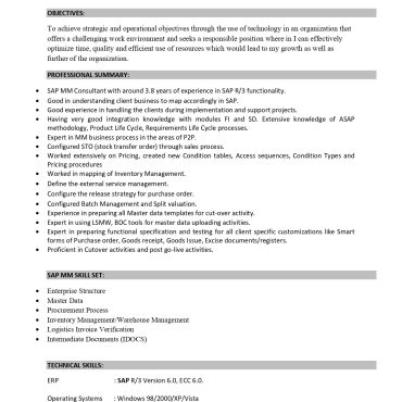 17239-SAP Consultant