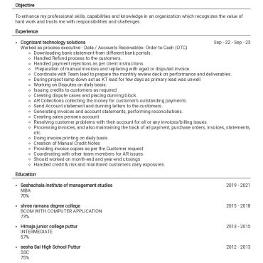 17373-Process Associate