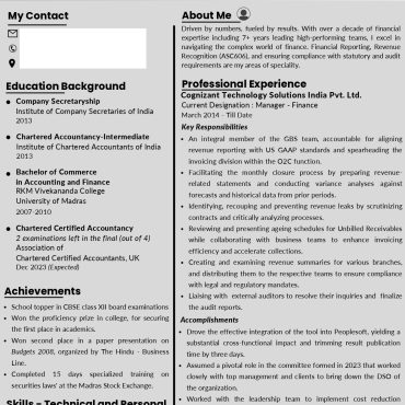 17243-Finance Manager