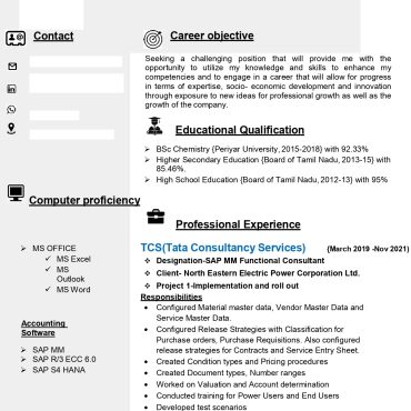 17026-SAP ABAP Consultant