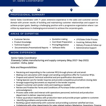 17098-Senior Sales Executive