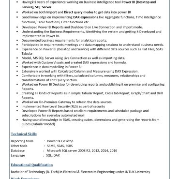 17063-Power BI Developer