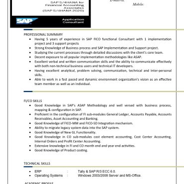 13953-SAP FICO