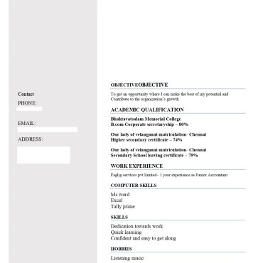 13569-Junior Accountant