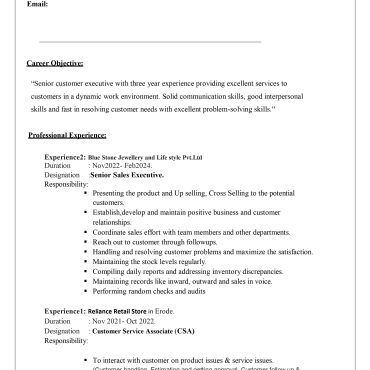16025-Sales Executive