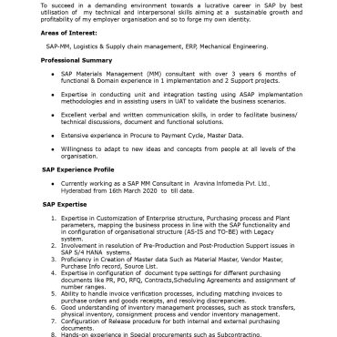 17236-SAP Consultant