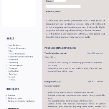 17316-Customer Support Executive