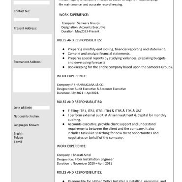 17314-Senior Accountant