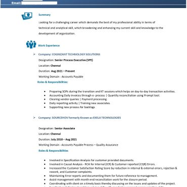13598-Senior Executive