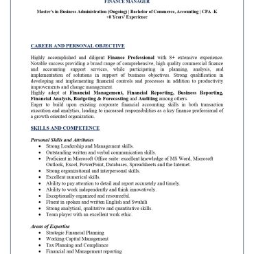 17253-Finance Manager