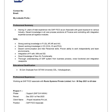 13731-SAP FICO