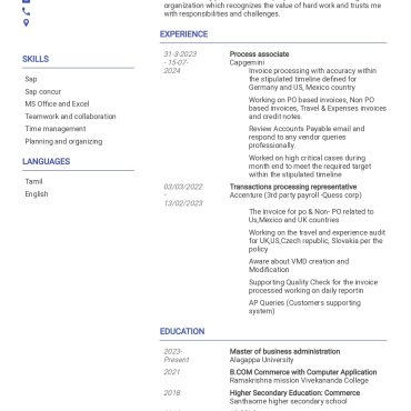 13442-Process associate