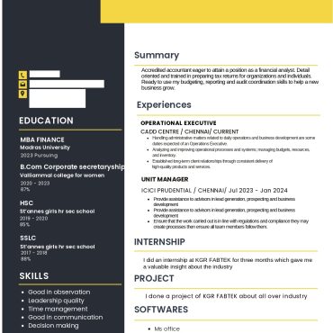 13443-Operations Executive