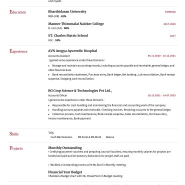 17295-Senior Accountant
