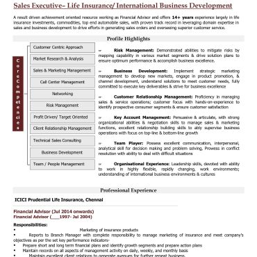 16027-Sales Executive