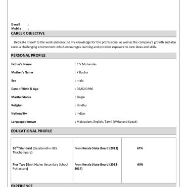 17127-Sales Executive