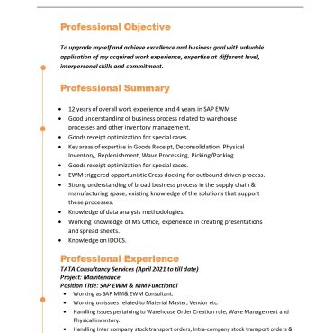 17227-SAP Consultant