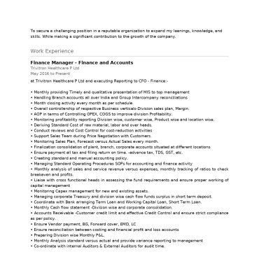 14398-Finance Manager