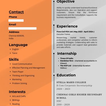 17287-Accountant Fresher