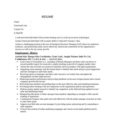 13807-Sales Executive