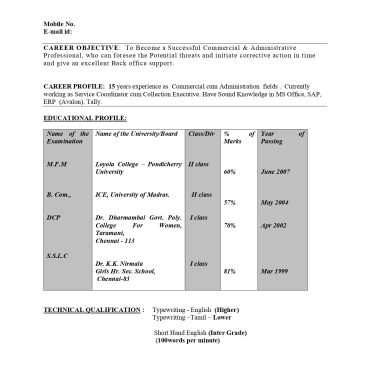 13382-Customer Support Executive