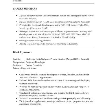 17125-Software Developer