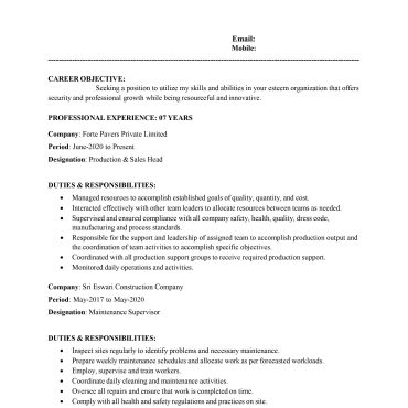 16029-Sales Executive