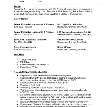 13445-Senior Accountant
